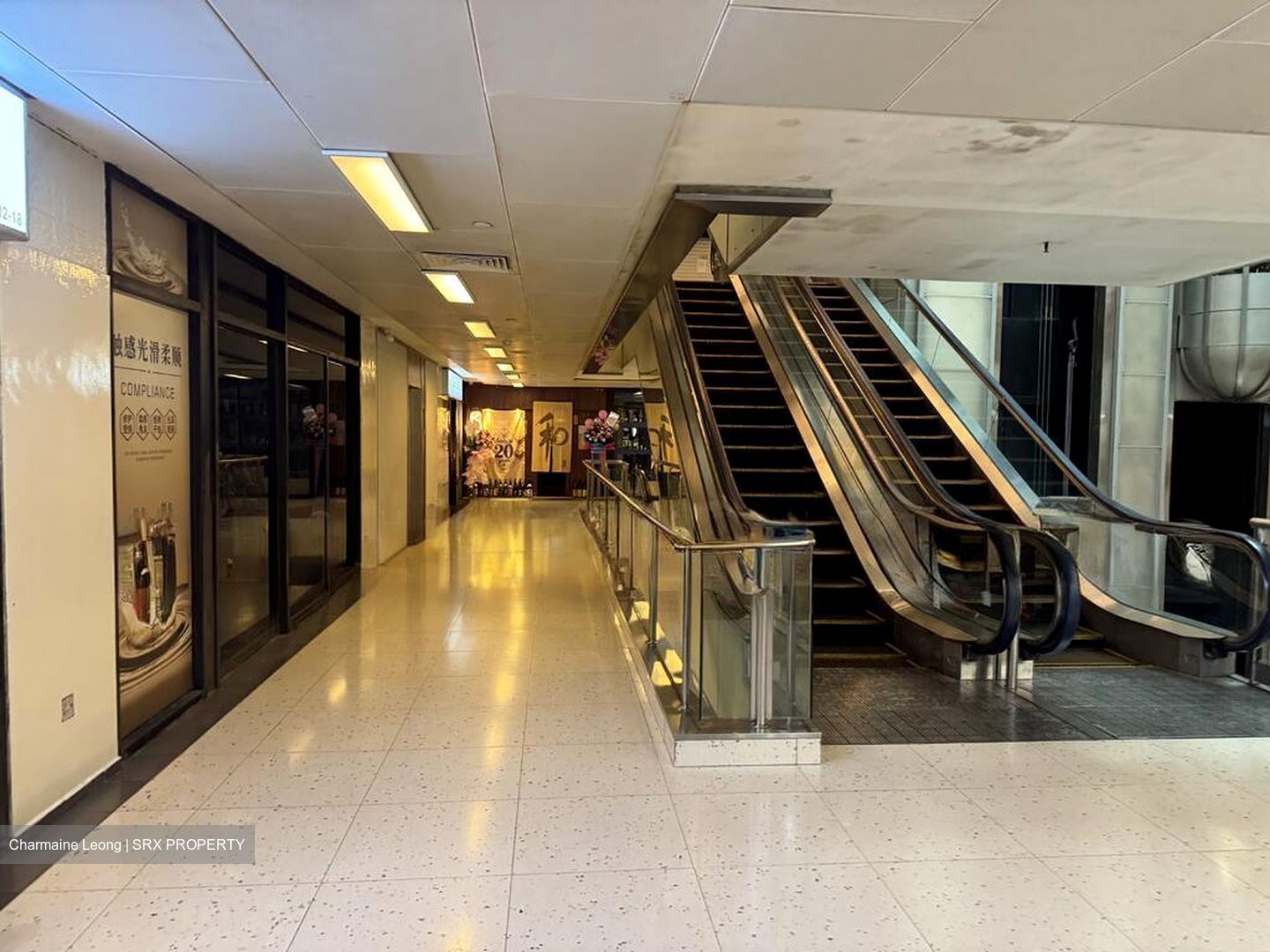 Cuppage Plaza (D9), Shop House #496945521